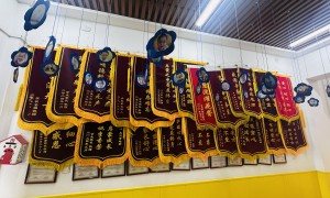 沧州发育迟缓康复服务中心避坑挑选指南：透明收费与服务范围解读