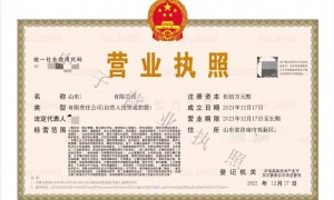 2026年省心的公司注册服务商用户力荐