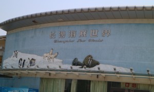 南博湾设计制作安装靠谱吗