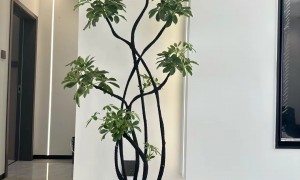 西双版纳中建盛世资质齐全的装修品牌公司靠谱商家怎么选？