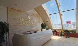 2026年靠谱的执行律师推荐，解决股东相互推诿执行案件实力盘点