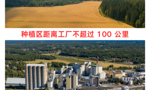 2026年无麸质燕麦生产厂实力参考与用户力荐