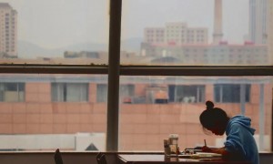 大连外国语大学国际教育学院专业度如何