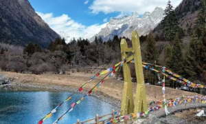 绵阳阿坝旅游有免费增值服务的旅行社推荐，服务商用户力荐