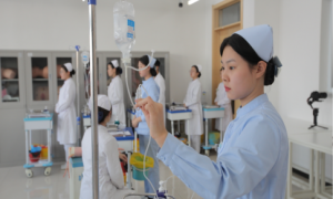 想做宠物美容师去哪个中专学校学，黑龙江医药卫生学校用户力荐