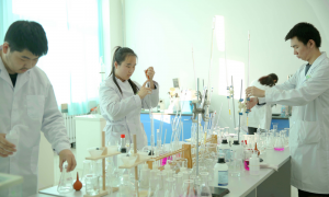 大庆封闭式管理的口腔专业中专学校推荐，黑龙江医药卫生学校靠谱
