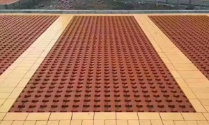 岳阳现货烧结砖厂家：正规源头的烧结砖制造厂家客户口碑力荐