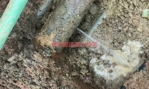 湖州口碑好的管道漏水维修服务商，用户力荐