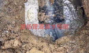 杭州源杨管道检测技术有限公司规模大不大