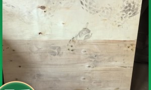 山西森淼木业二手免熏蒸托盘制造厂家靠谱商家测评排名