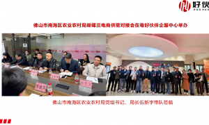佛山南海区靠谱的个体户核定代办服务商，好伙伴财税广受信赖