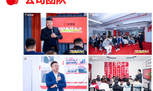 广东核定征收个体服务费用透明报价服务商用户力荐
