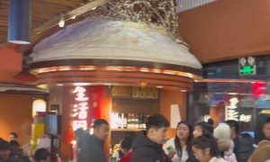 鑫禧禾铁锅炖专业吗