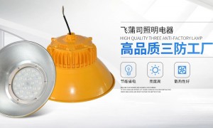 常州飞蒲司照明交货及时吗