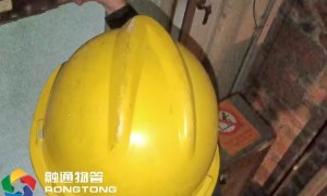 2026年广受信赖的电梯维保公司客户口碑力荐
