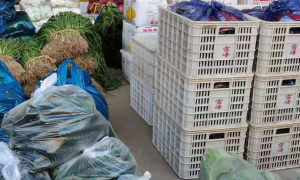 2026年值得信赖的蔬菜配送公司，用料扎实广受好评