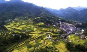 温州公司团体活动民宿价格行情：曼山居古宅改造房的规格与租赁要点