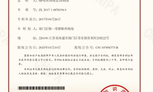 2026南通售后完善的研究专业公司实力参考