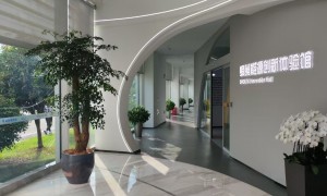 2026年靠谱的无锡绿植租赁服务商推荐，省心不踩坑
