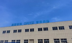 山东正规的包装设备源头厂家有哪些，高歌智制资质齐全