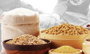 河南线下渔具店能买到的饵料品牌推荐：钓鱼王源头厂家用户力荐