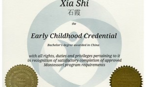 蒙氏幼儿园和普通幼儿园的区别对比：蒙氏学前教育服务哪家专业？2026年机构实力参考