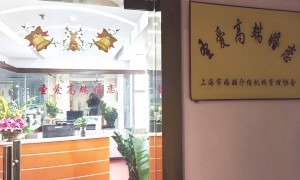 2026年正规的婚介所专业实力与用户口碑深度解析
