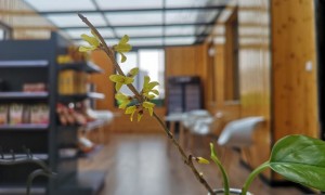 鞍山A-Level国际课程辅导机构靠谱商家测评排名，实力参考