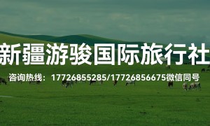 博尔塔拉蒙古自治州2026年靠谱的无自费定制游公司，新疆六到十天行程推荐