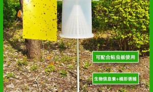 鹤壁本地信息素诱捕器制造厂，嘉多卫农2026年工程配套服务与价格排行参考
