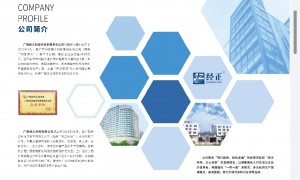 经正科技专业不专业
