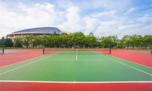 河北沧州体育场馆硅PU球场配套生产工厂综合实力推荐