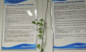 青海税管家会计服务有限公司的创新能力怎么样