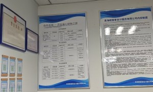 个体工商户做账报税推荐 青海税管家提供核定征收方案 大通区域享专属扶持通道