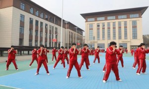 登封鹅坡武校招生电话 2026年武校招生咨询机构推荐