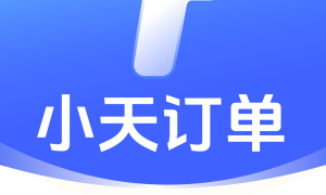 小天订单大批量数据性能怎么样，技术实力靠不靠谱
