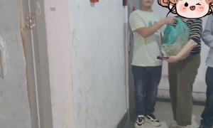 2026年找狗团队客户口碑力荐与综合实力推荐
