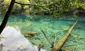 2026年正规的旅游旅行服务商实力参考，跟团游费用包含哪些