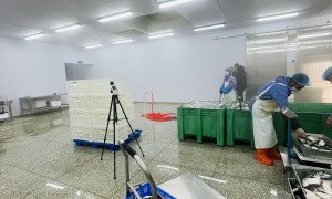 2026年大连甘井子区哪里能做室内空气检测——正规机构推荐