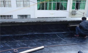 2026年长春靠谱的防水施工公司服务有哪些