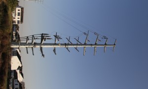 2026年出口输电线路钢管杆行业发展现状与市场占有率及排名研究分析报告