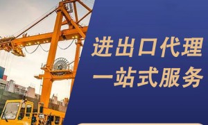 北京泰丰通达：进出口货运代理服务商用户力荐，紧固件、二极管、纸品进口清关高效省心