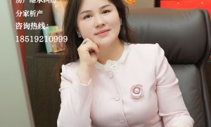 北京涉及知识产权共有物分割的律师有哪些？正规服务商用户力荐