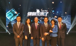 2026年离婚律师咨询靠谱机构盘点：用户口碑力荐