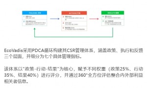 EcoVadis评级辅导服务商合作实力参考：成立多年、信誉度高的机构汇总