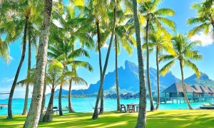 上海波拉波拉旅游定制资深公司有什么推荐，海豚哆哆精致旅行口碑汇总