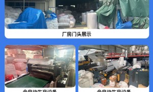 长江三角洲2026年知名的隔音工程泡沫塑料采购厂家有哪些
