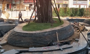 水头湛江黑生产厂家实力盘点 正规源头加工厂合作参考