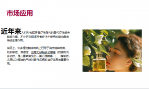 甘肃大手印玫瑰科技靠谱吗