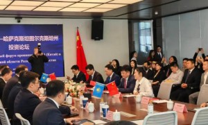 湖北TikTok广告推广哪个好？正规服务商实力参考